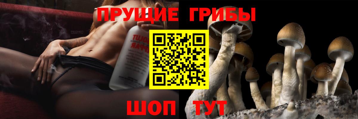 где найти наркотики  Псилоцибиновые грибы мухоморы  Вход с VPN  Ачинск 